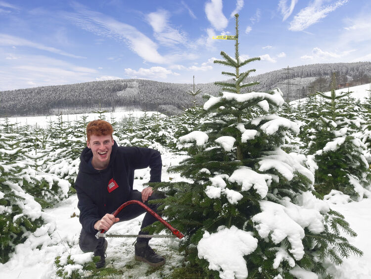 Weihnachtsbaumschlagen_Schnee